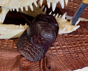 Crocodile leather Cap