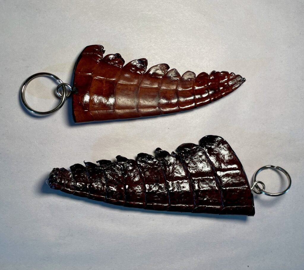 Crocodile Tail Keyring